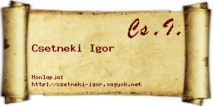 Csetneki Igor névjegykártya